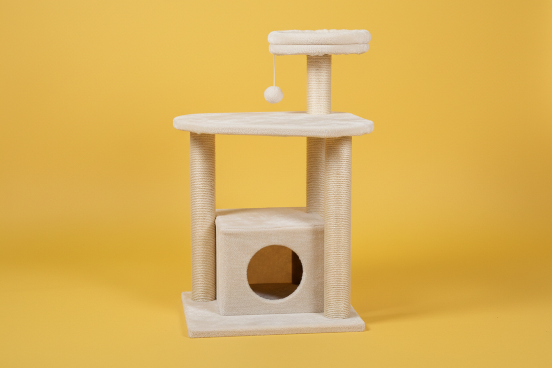 Katzen kratzen – Warum es wichtig ist & wie man es richtig unterstützt